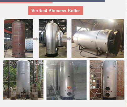 vertical biomass hot water boiler,vertical biomass boiler,small biomass hot water boiler