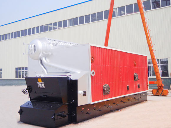 Biomass steam boiler