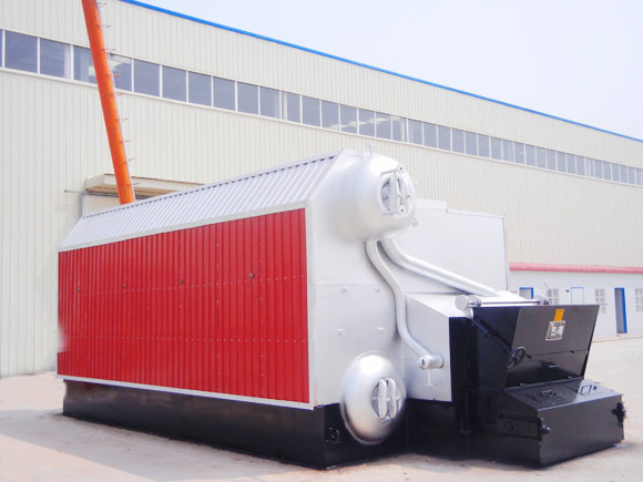 Biomass steam boiler