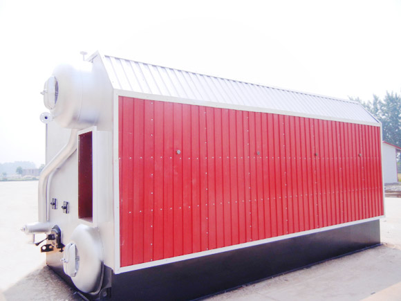 Biomass steam boiler