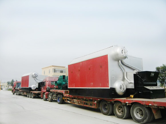 Biomass steam boiler