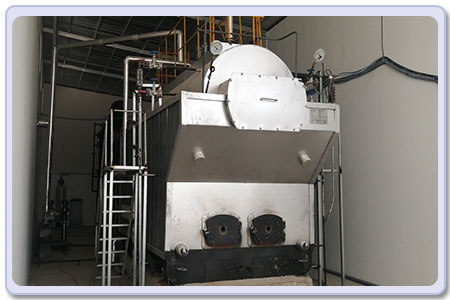 manual biomass wood boiler