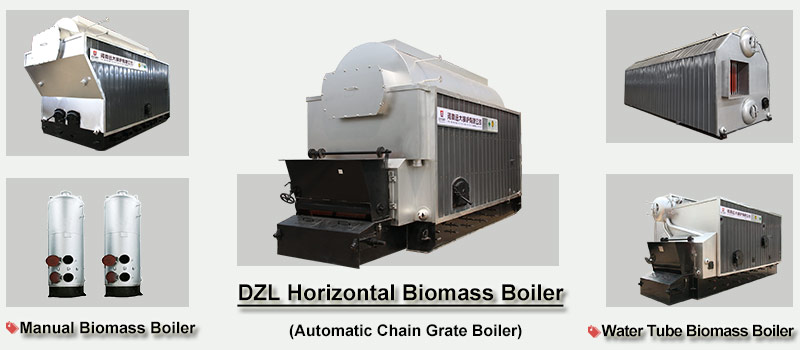 DZL biomass boiler