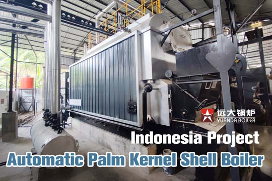 dzl biomass palm kernel shells boiler,4ton chain grate biomass boiler,china palm kernel shells boiler