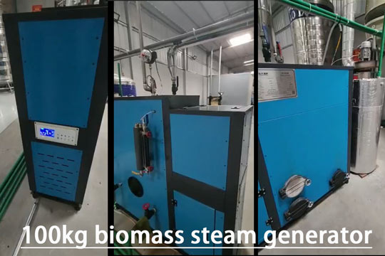 biomass pellet boiler,biomass pellet generator,pellets steam generator