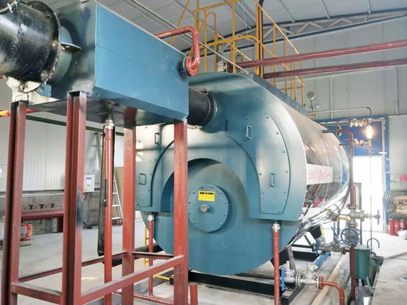 Gas Oil Steam boiler