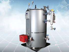 Gas Steam generator