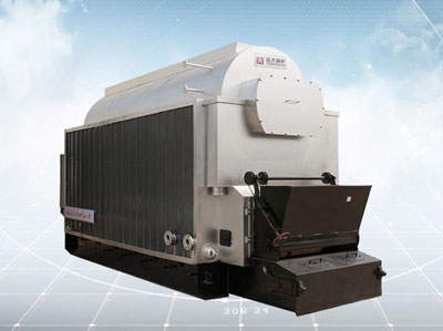 coal biomass water boiler