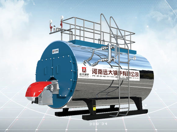 Gas/Lpg/Oil Hot Water Boiler