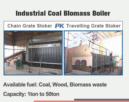 travelling grate biomass boiler,chain grate biomass boiler,dzh biomass boiler