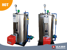 LSS Gas Steam Generator, Diesel Steam Generator,natural gas steam generator