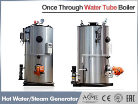 LSS Gas Steam Generator, Diesel Steam Generator,natural gas steam generator