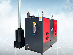 biomass steam generator
