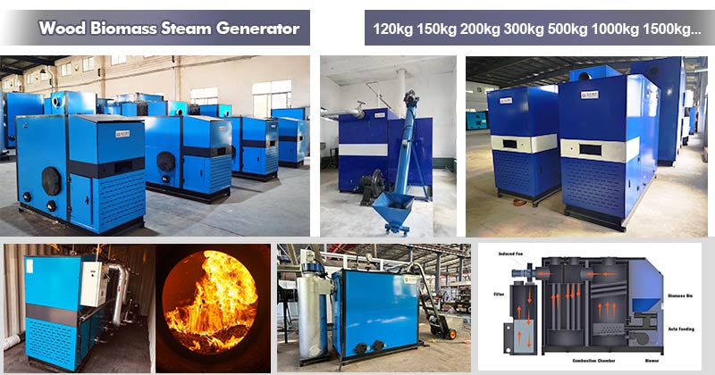 wood pellet steam generator,biomass pellet steam generator