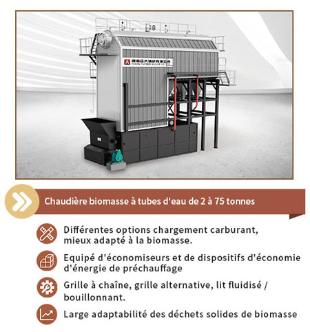 chaudière à biomasse à tubes d'eau, chaudière à grille alternative, chaudière à biomasse chinoise