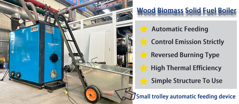 wood biomass boiler,solid fuel boiler,solid waste fired boiler