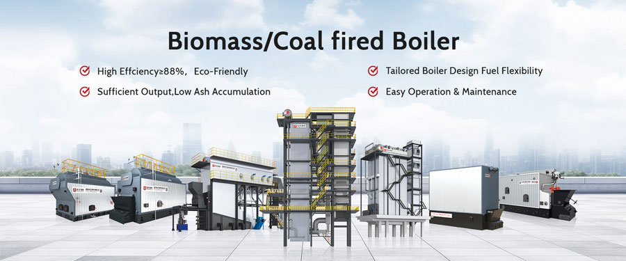 coal boiler,biomass boiler,wood boiler