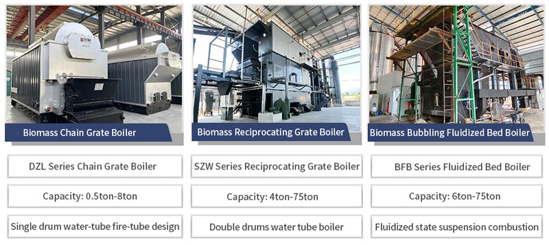 biomass boiler for palm oil mill,biomass fired steam boiler,palm kernel shell boiler