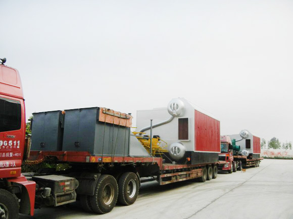 Wood pellet/Charcoal Steam boiler