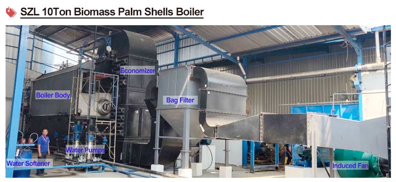 10ton biomass palm shells boiler