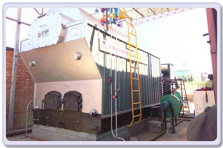 dzh 4ton coal boiler