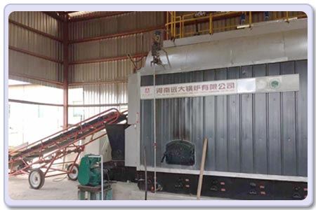 automatic biomass steam boiler