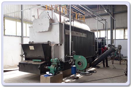 DZL coal boiler