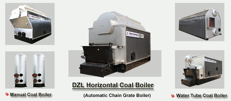 DZL coal fired boiler