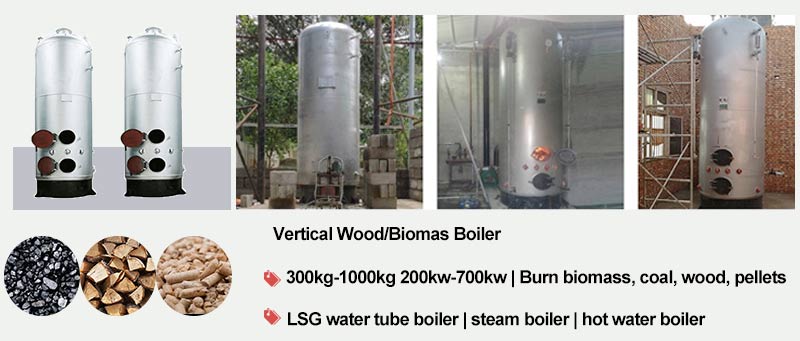 vertical wood boiler, small biomass boiler