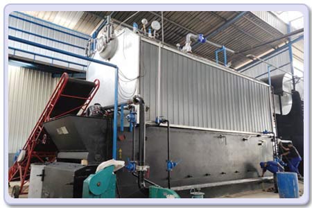 coal biomass boiler