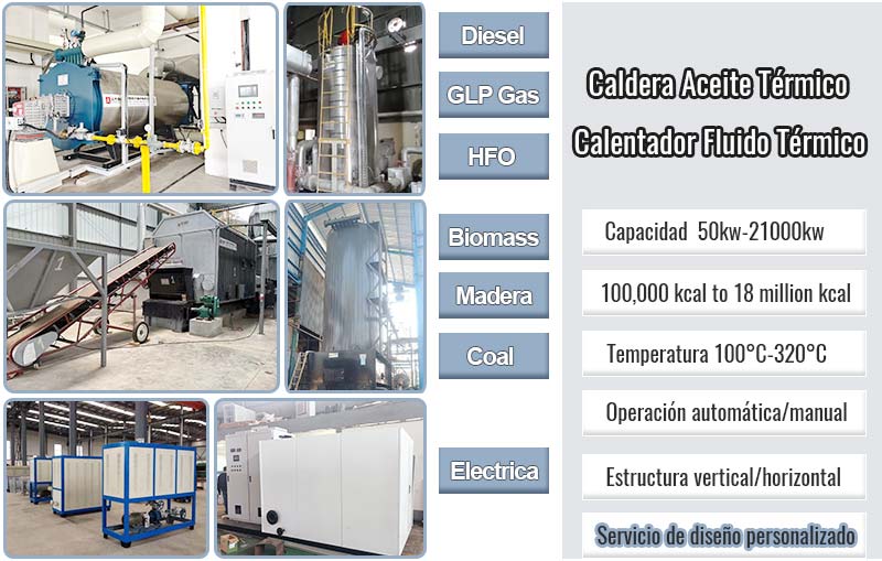 Caldera de Aceite Termico  China