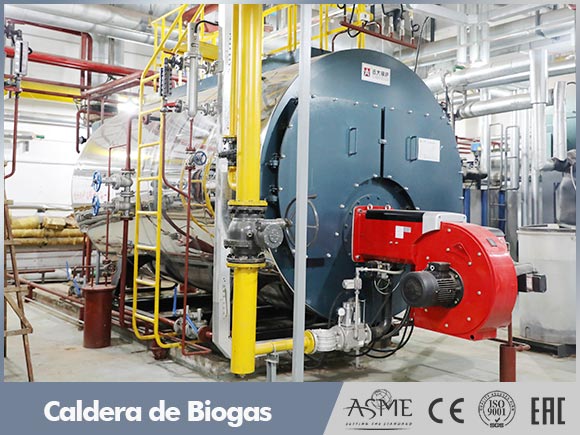 caldera biogas china,caldera biogas de vapor,caldera biogas de agua caliente