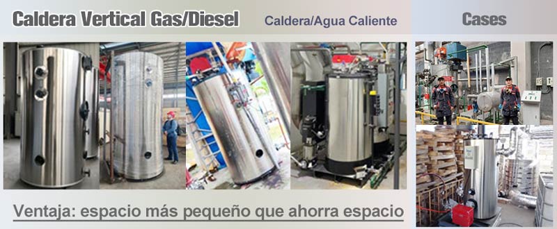 caldera vertical,caldera gas vertical,caldera diesel vertical