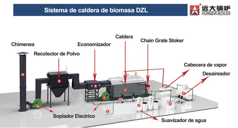 Sistema de caldera de biomasa dzl, caldera de biomasa con rejilla de cadena dzl, caldera de biomasa dzl