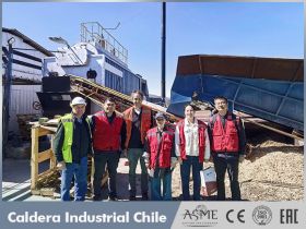 caldera biomasa chile,caldera agua caliente de biomasa,caldera lena industrial