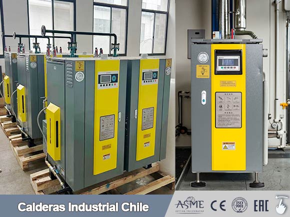 caldera vertical,caldera generador de vapor,generador vapor electrica