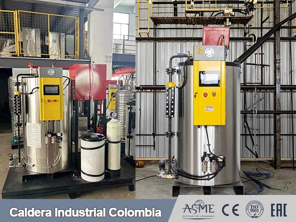 caldera vapor vertical,caldera vertical de colombia,caldera vapor colombia