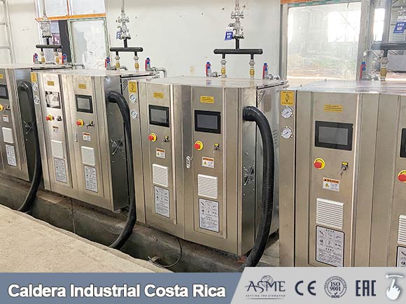 caldera electrica Costa Rica,caldera vapor electrica,caldera electrica de verticales