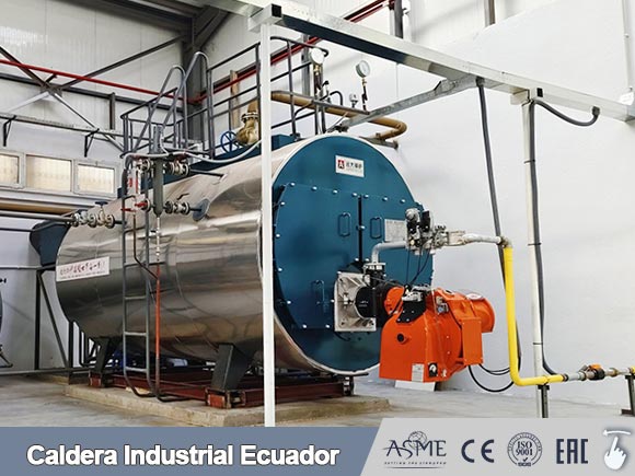 caldera vapor ecuador,caldera vapor 30 hp,caldera 60 hp