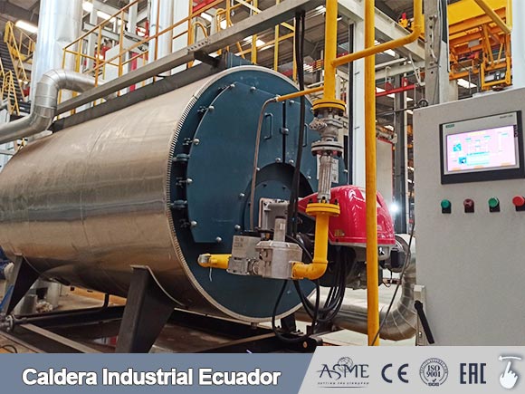 caldera diesel industrial,caldera gas industrial,caldera vapor ecuador