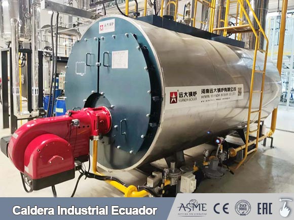 caldera vapor de diesel,caldera gas industrial,caldera El Salvador