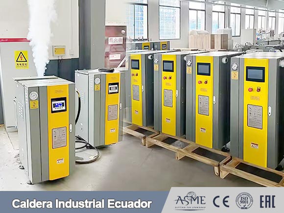 caldera electrica,caldera vapor electrical,generador vapor electrica
