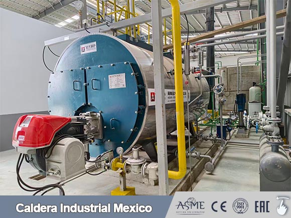 caldera vapor diesel,caldera vapor gas,caldera vapor glp