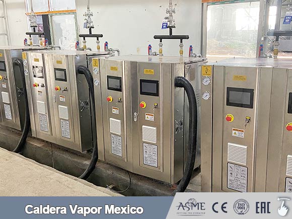 caldera vapor veritical,caldera vertical mexico,caldera de industrial