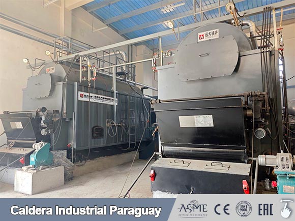 caldera vapor de biomasa,caldera vapor de lena,caldera lena industrial