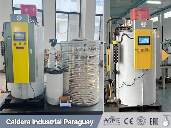 caldera vertical,caldera vapor de vertical,caldera vertical de Paraguay