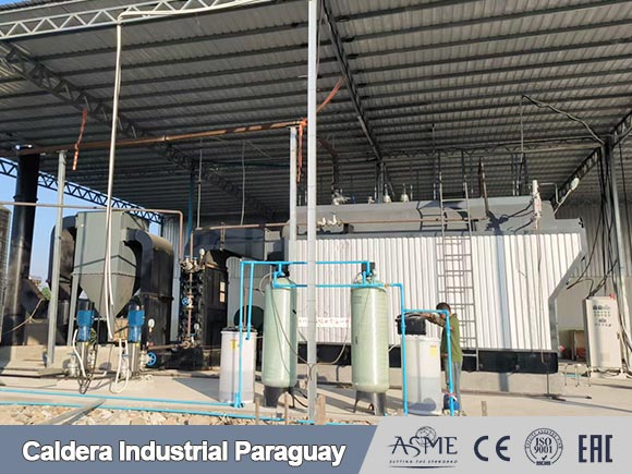caldera vapor lena Paraguay,caldera vapor de biomasa,caldera acuotubular de biomasa