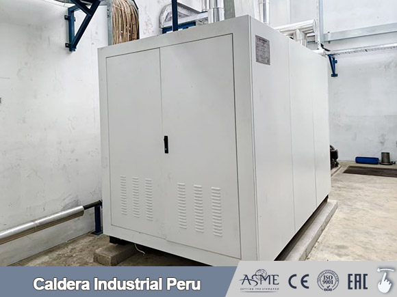 caldera electrica peru,caldera vapor electrical,generador vapor electrica peru
