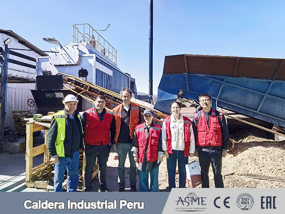 caldera de biomass peru,caldera vapor biomass,caldera biomass industrial