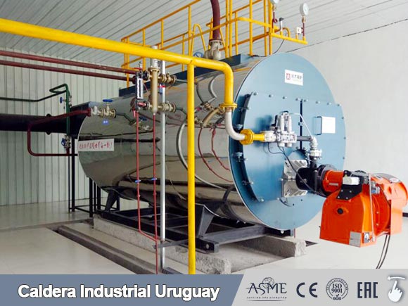 caldera vapor de diesel gas,caldera de vapor,caldera industrial Uruguay